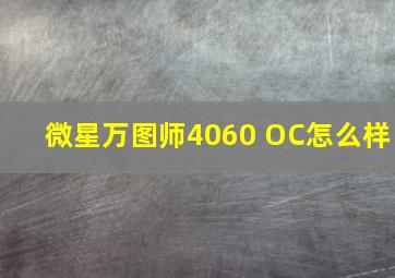 微星万图师4060 OC怎么样